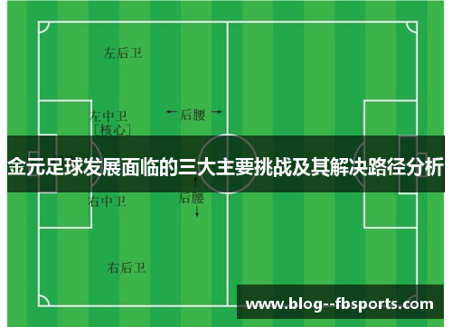 金元足球发展面临的三大主要挑战及其解决路径分析